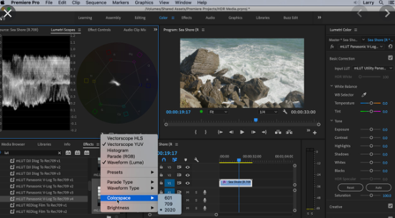 adobe premiere 6.0 compatible with win 10