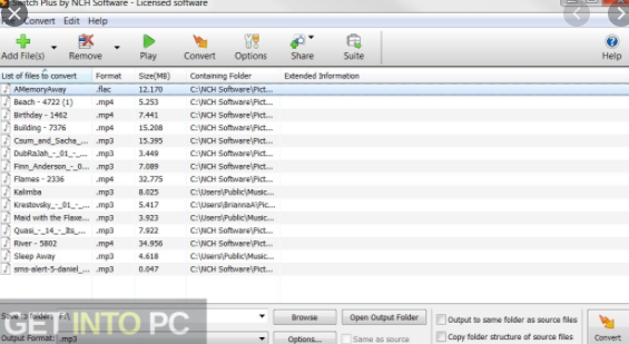 Switch Plus Audio Converter 2010