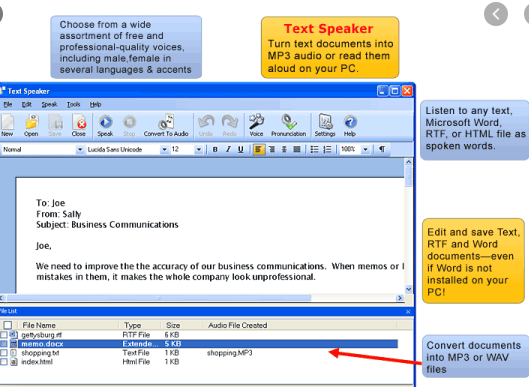 speaker text character