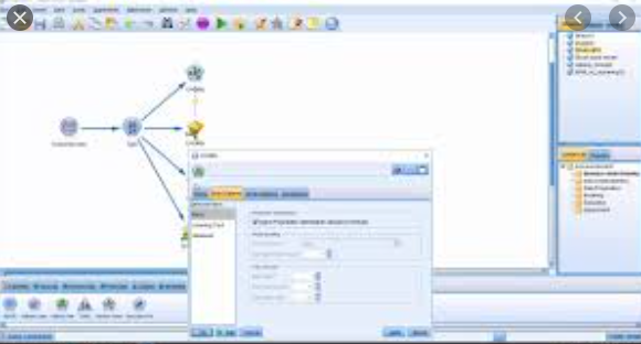 ibm spss statistics data editor