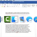 Microsoft Word 2016 for Mac