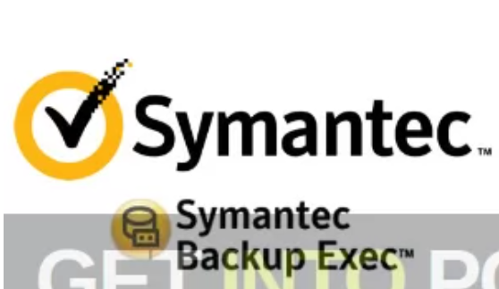 Symantec Veritas Backup Exec 20