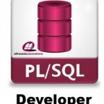 Allround Automations PL SQL Developer 12