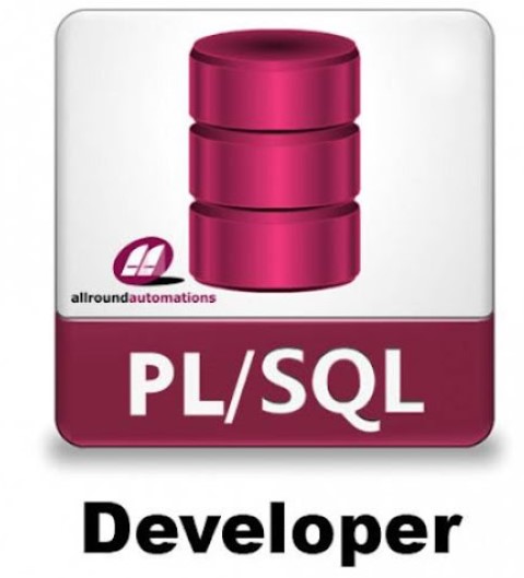 Allround Automations PL SQL Developer 12