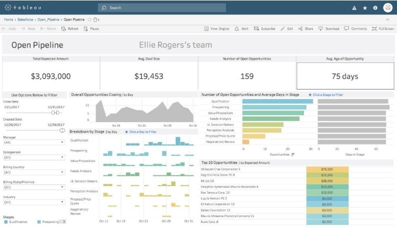 Tableau Desktop Professional 10