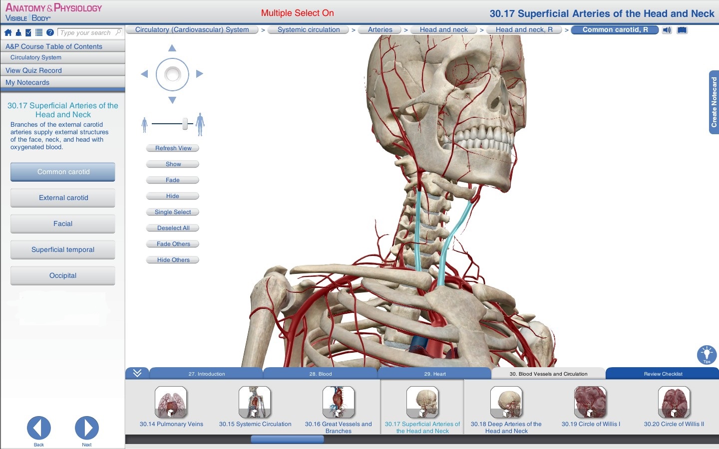 human anatomy atlas for pc free download