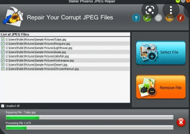 Stellar Phoenix JPEG Repair