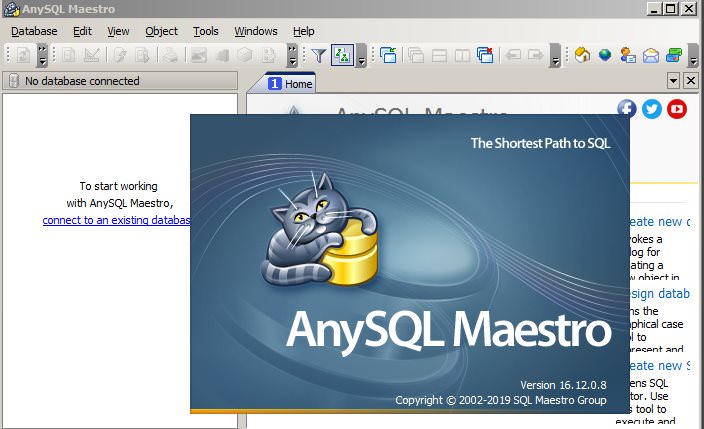 Anysql Maestro Professional 2019