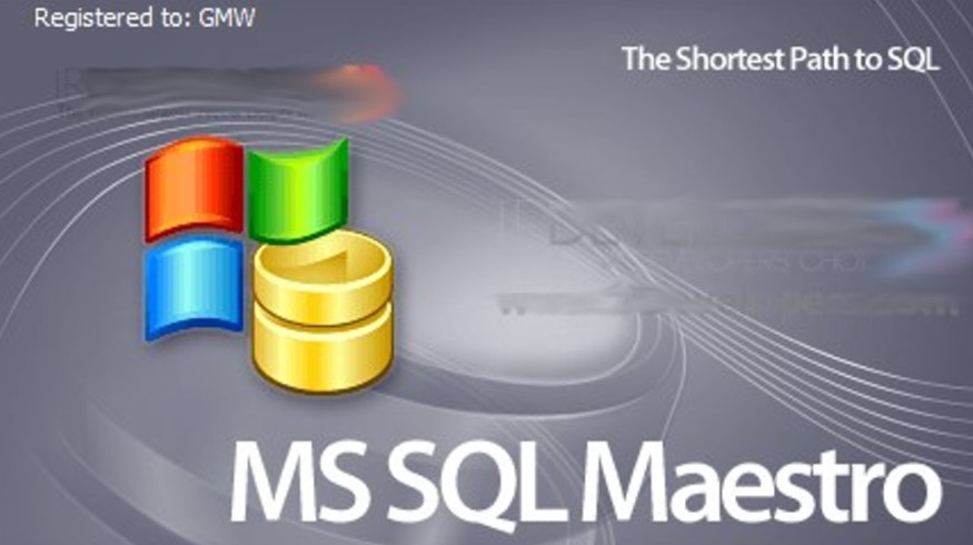 MS SQL Maestro 2019
