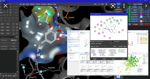 Molecular Operating Environment 2015