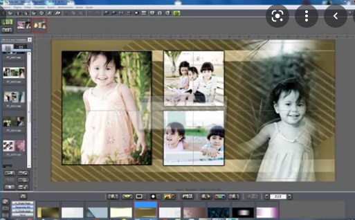 dg foto art gold 6.0 download