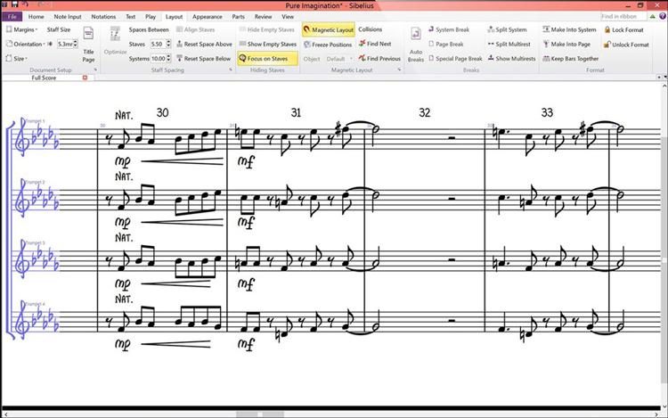 sibelius ultimate create open space for text anywhere