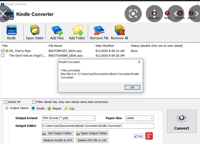 PDF to Kindle Converter