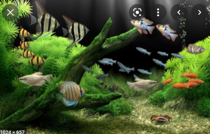 marine aquarium screensaver free download for windows 7