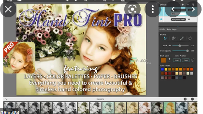 Hand Tint Pro