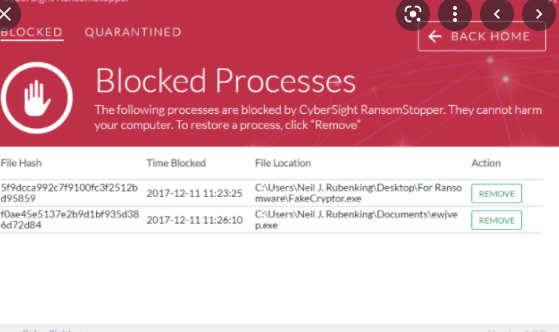 Cybersight Ransomstopper