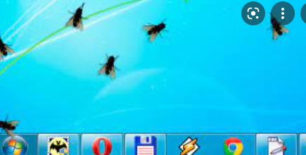 Fly On Desktop