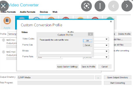 VIP Video Converter